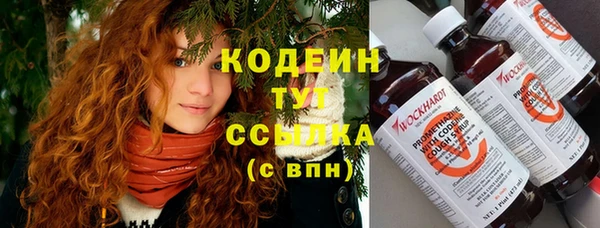 дмт Лабытнанги