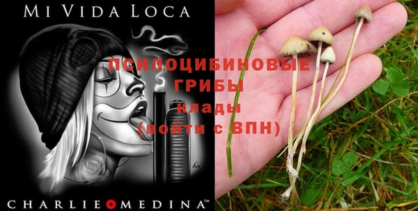 соль ск Ладушкин